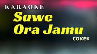 Download lagu Karaoke Suwe Ora Jamu mp3