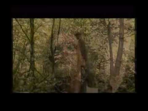 The Russian Doctors: Der Arme