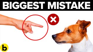6 Common Mistakes NEW Dog Owners Make