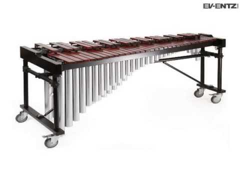 Build Your Own Marimba Today!