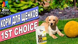 1st Choice Puppy Toy & Small Breeds Chicken 2 кг (ФЧСЩММК2) - відео 1