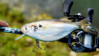 Джеркбейт hard baits big game shad sinrking c-01