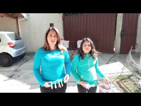 Prof  Gi  corrida do prendedor de roupas