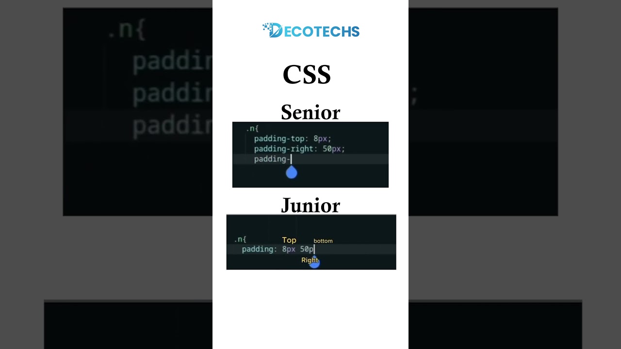 CSS Senior vs Junior | Coding Mindset Clash 🎯💻