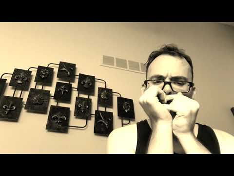 Howlin' Wolf - How Many More Years (Harmonica Cover)