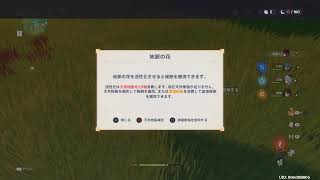 無凸最強フータオ育成中