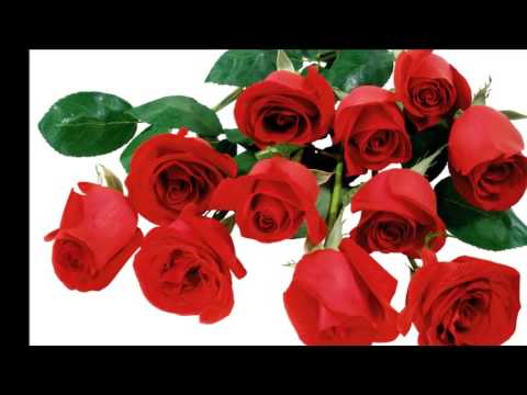 Vlatko Vuckov i grupa Korona - Iskovaj mi filigranu