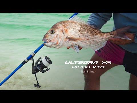 SHIMANO 24 ULTEGRA XR 14000XTD - Next in line.