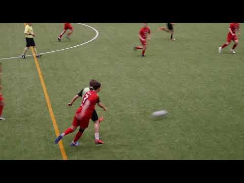 Blackbird-JPS 2-4 (maalikooste)