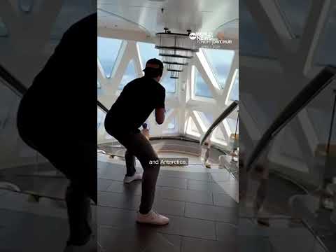 Cruise ship endures huge waves on voyage to Antarctica