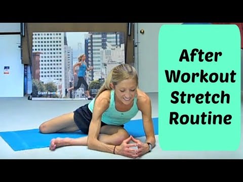 12 Minutes of the Best Stretches | After Workout Stretch Routine