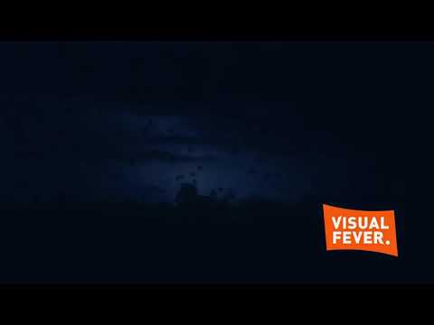 In Vivo & Dado Polumenta - Partimanijak (Official HD video 2011) gold extended version