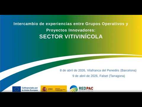Fotograma del vídeo: Intercambio de experiencias entre Grupos Operativos y Proyectos Innovadores: SECTOR VITIVINÍCOLA