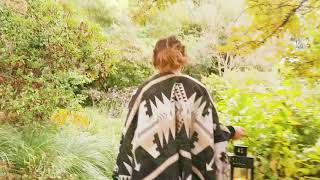 The Song of a Hundred Toads