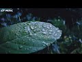 Rim Zim Gire Sawan Whatsapp Status Ringtone
