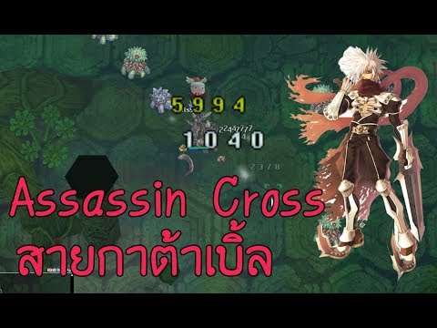 วิธีการขยายขนาดอวัยวะเพศชาย ใบผักชีฝรั่งและความแข็งแรง