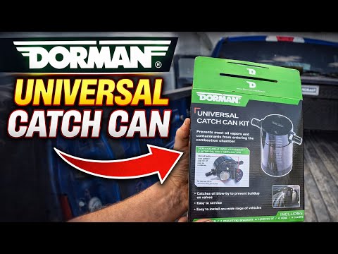 You NEED THIS‼Dorman Universal Catch Can. Everything You Need‼