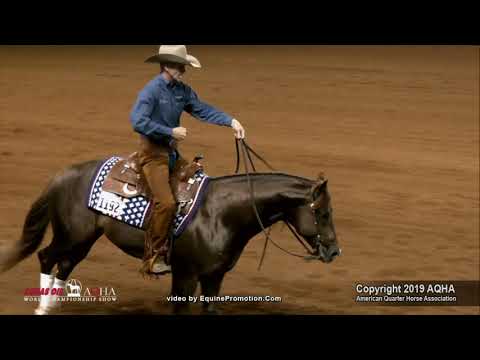 2019 AQHA Junior Reining