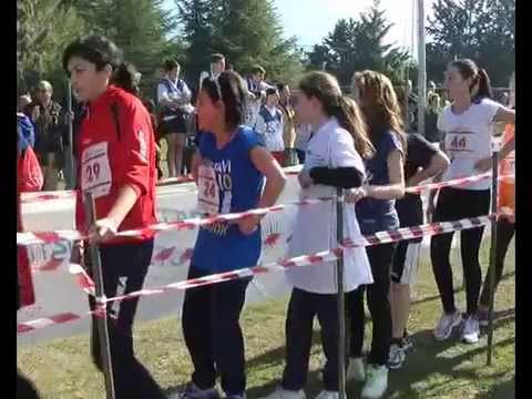 ONDA TG 26.02.2014 - CORSA CAMPESTRE SULMONA: INTERVISTA ANTONELLO PASSACANTANDO