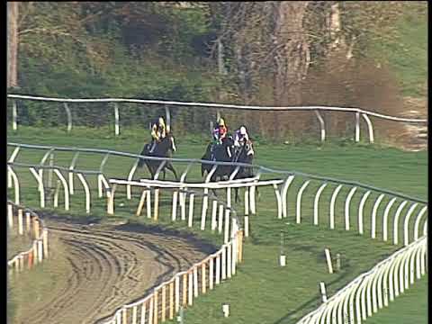 Galoppo 22/11/2017 - 1ª corsa