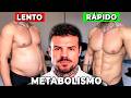 Fact Check: Metabolismo e Gordura na Barriga Relacionados ao Sono