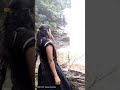 Madikeri Abbi Falls