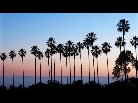 Route 94 x Mr Probz - My Love x Waves (DJ Love Mashup)