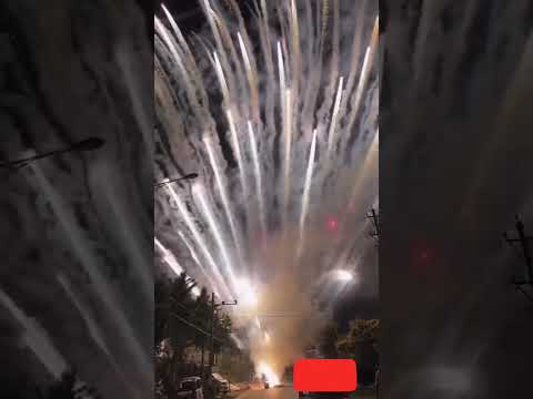 1000 short #viralvideo #flower #goa #calangutebeach #nature #southgoa