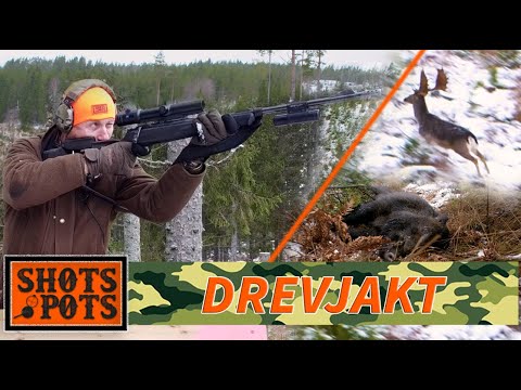 DREVJAKT PÅ CHRISTINEHOLM - Lubbe jagar vildsvin och dovvilt