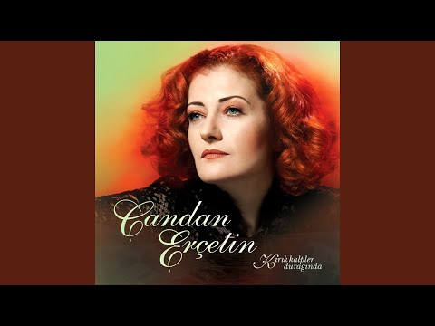 Video Yükleniyor...