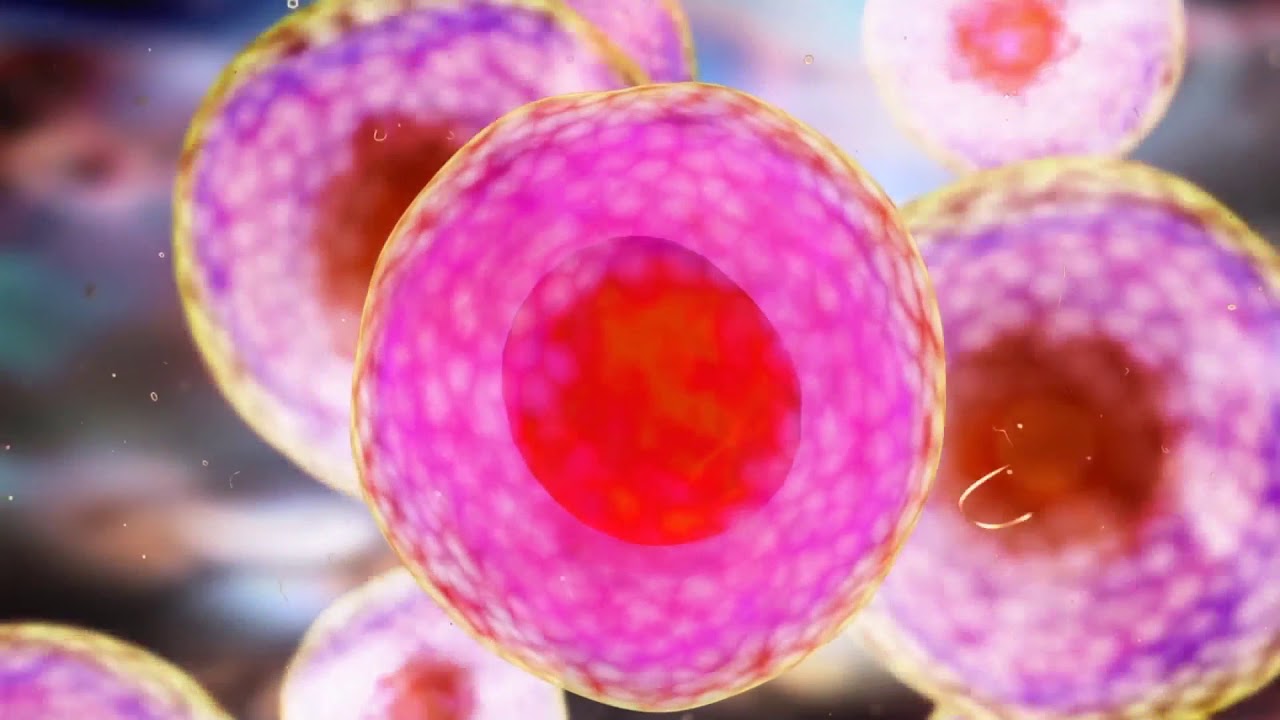 The Body-Field Explained