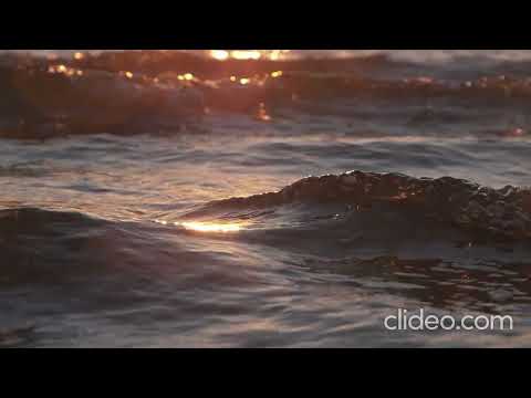 Talamasca & Deedrah - Transwave (LOOP.2)