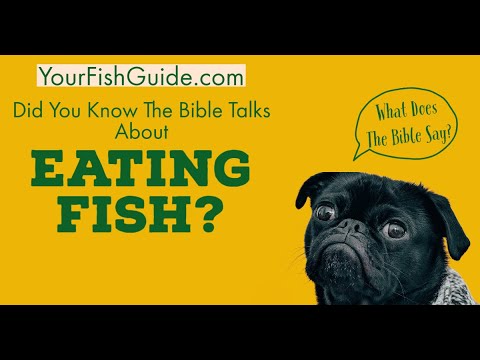 What Does The Bible Say About Eating Fish? ~ YOU WISHED YOU WATCHED THIS FIRST