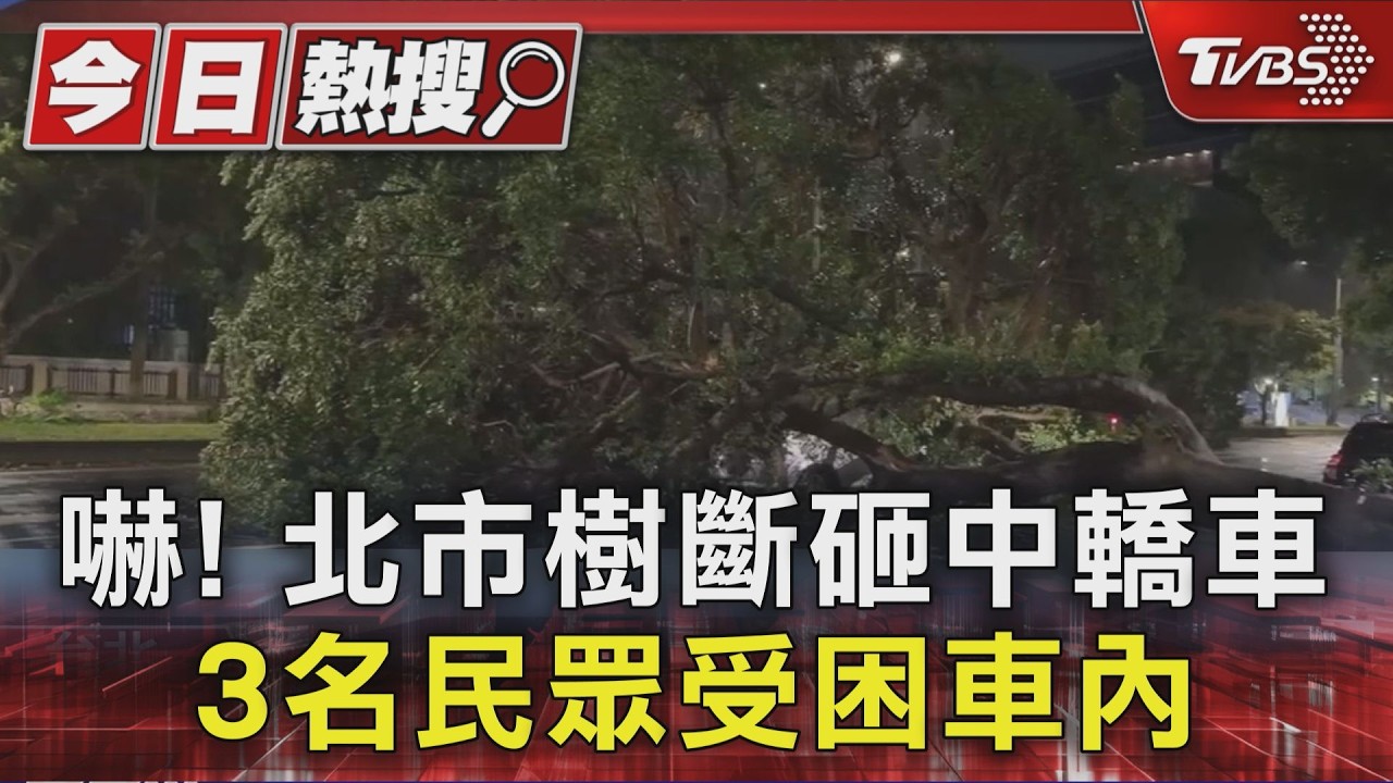 這風太「薔」! 北市劍潭站前巨木遭連根拔起 警衛亭被吹翻「冷氣機噴飛」｜TVBS新聞 @TVBSNEWS01