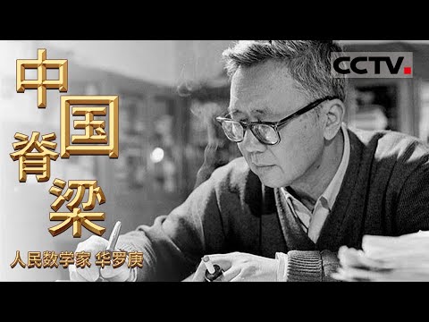 《中国脊梁》 人民数学家：华罗庚 看数学巨匠的传奇人生！EP13【CCTV纪录】