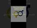 Swap Roulette Ep1 2 An Indian Girl Shorts Bodyswap Genderbend Bodyswitch M2f Genderbender