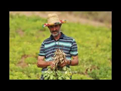 كتامة والريف kotama we rif