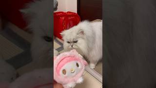 ななちゃんにそっくりなマイメロのぬいぐるみをプレゼントしましま