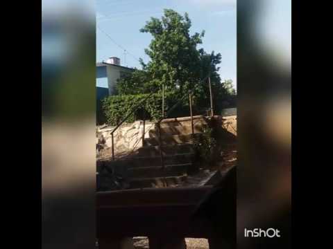 Arnaldo y su talisman el verde de la esperanza