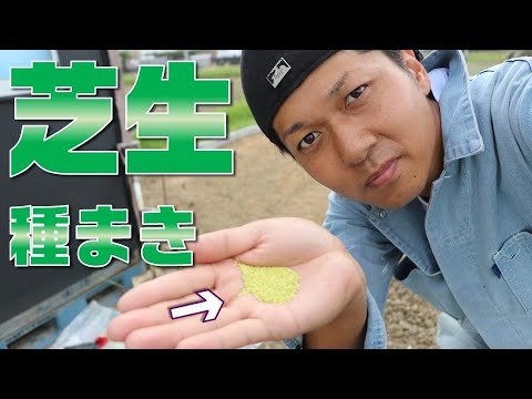 種から芝生を蒔く時期と方法は?適切な期間とその手順! 庭園