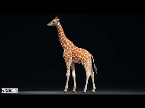 Adult Giraffe - Unreal Engine