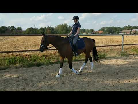 Wallach von Foundation x Zack x Belissimo