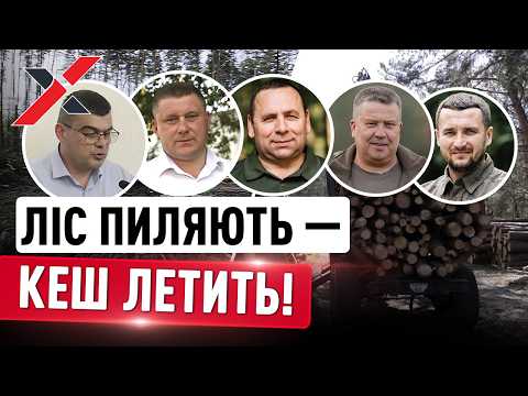 Богаче Трампа? Расследование о миллионных доходах украинских лесников
