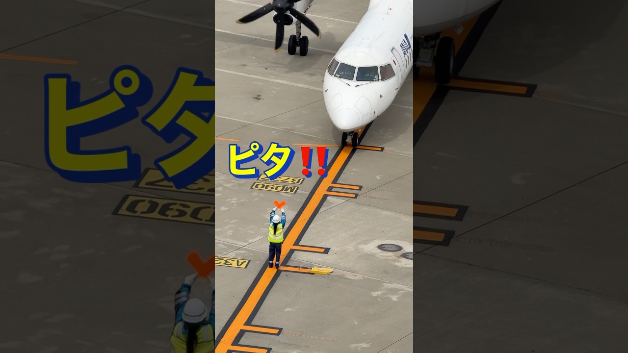 かっこいい女性マーシャラーが飛行機をピタリと止める　#飛行機 #ana #マーシャラー