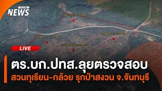 ตรวจสอบ สวนทุเรียน-กล้วย รุกป่าสงวน จ.จันทบุรี | 4 มี.ค.68
