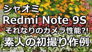 素人がシャオミ Redmi note 9sでAI任せで写真を撮ってみた