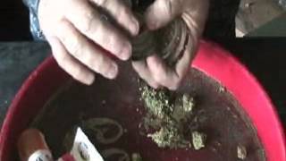 Two Joints To Memphis - BOURBON & SCHWARTZ (Marijuana Music Video)