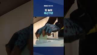[단독] 또 늘어 부산 9곳‥"취합도 제대로 안 돼" #Shorts (MBC뉴스)