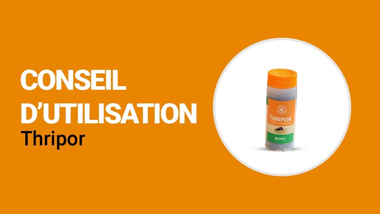 Video preview poster