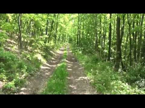 Novohrad Nógrád Geopark